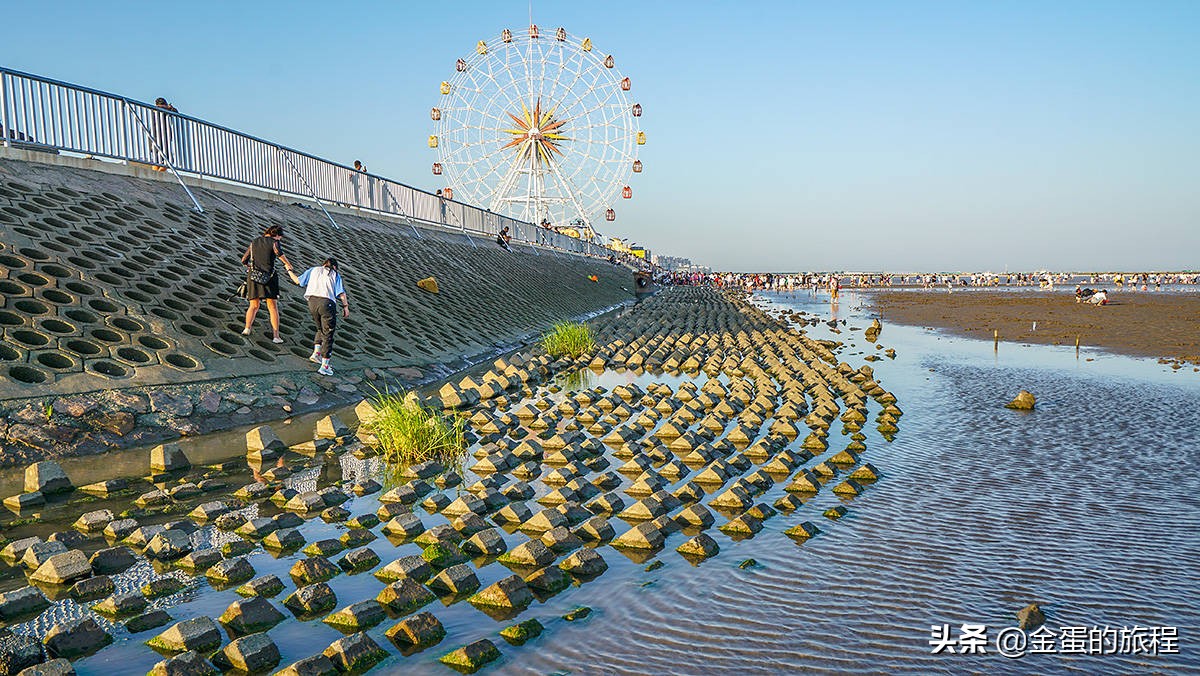 上海奉贤周末带娃好去处10岁左右,上海奉贤周末遛娃好去处推荐