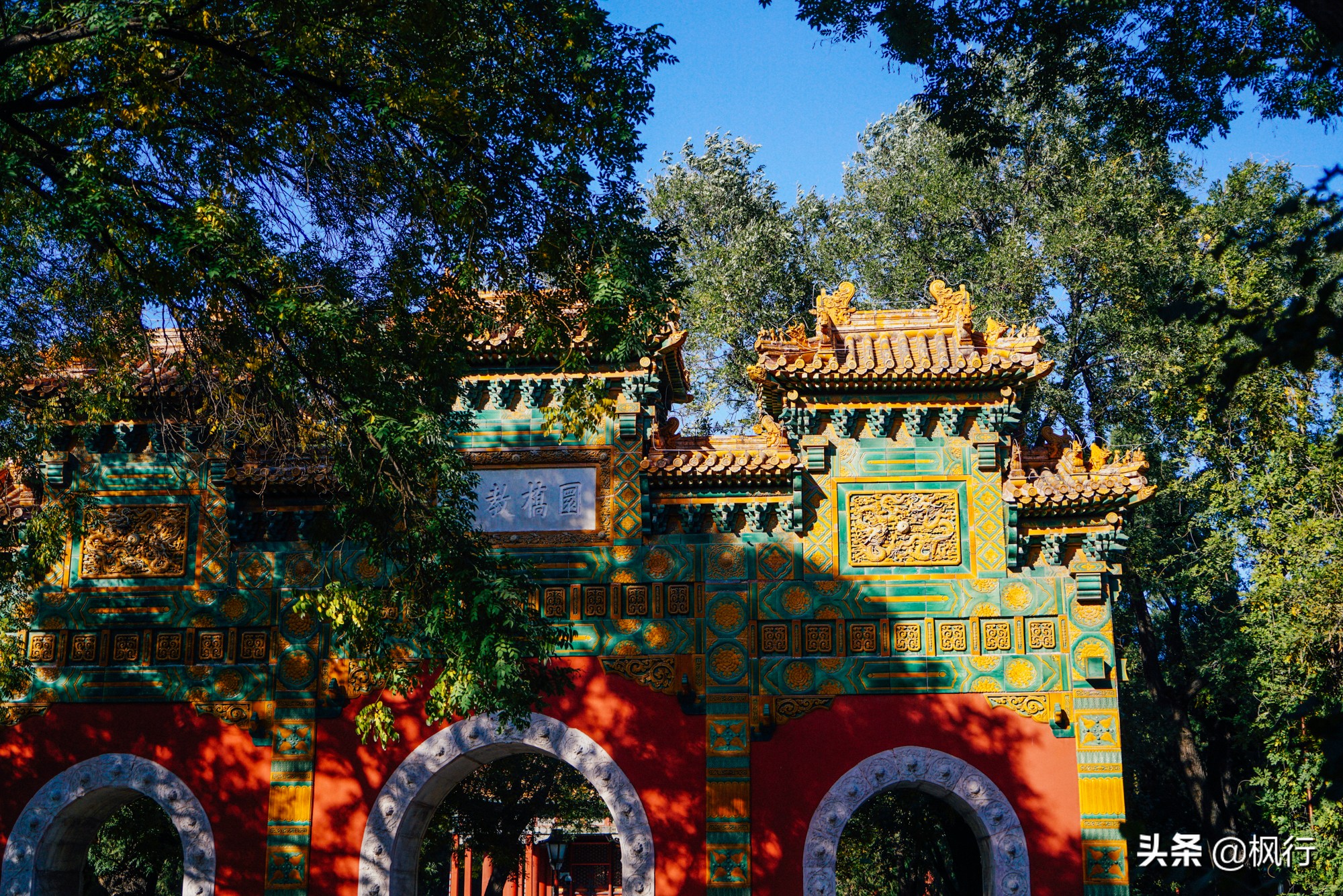 北京18个看银杏的好地方在哪,北京八大处看银杏攻略