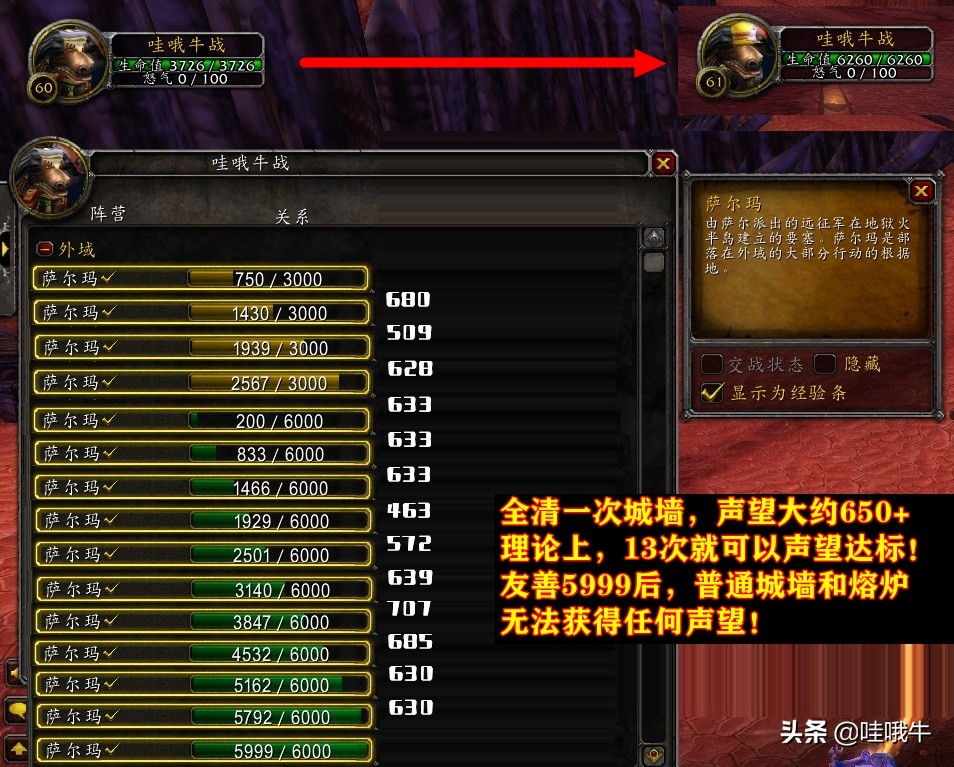 魔兽世界怀旧服tbc哪些声望必须升,魔兽怀旧服tbc各声望奖励