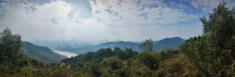 深圳原始登山道视频,深圳首个手工木栈道