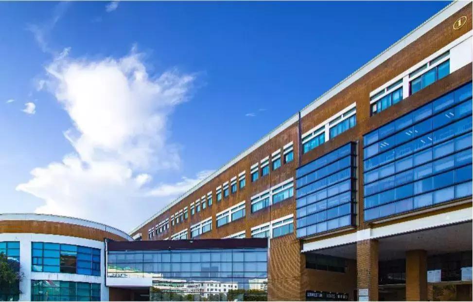 鏍″洯鍔炲叕浣撻獙,娌夋蹈寮忔牎鍥