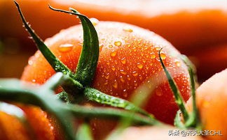 美白全身的快速方法沐浴露,有什么办法能在一个月内全身美白