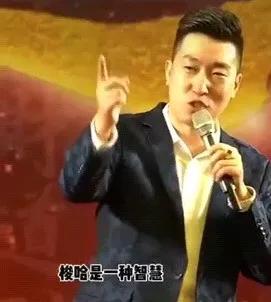 v神销毁shib对shib有什么影响,v神发表对shib的最新看法