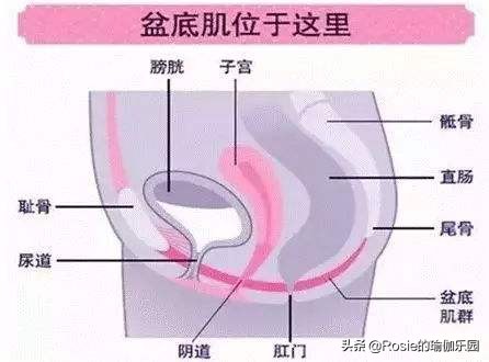 产后快速修复大肚腩胯骨宽,卸货后腰围粗了20厘米