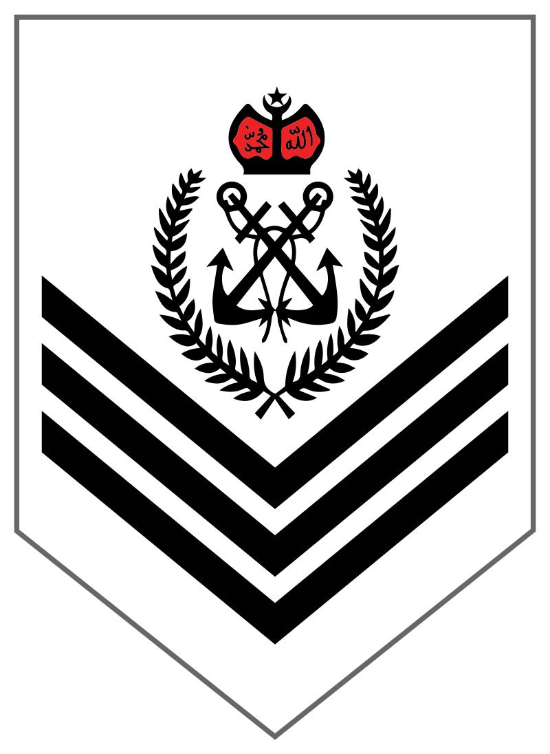 各国军衔标识韩国,马来西亚军衔等级对照表