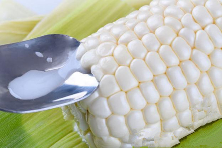 比西瓜还甜的水果,比糖还甜的西瓜