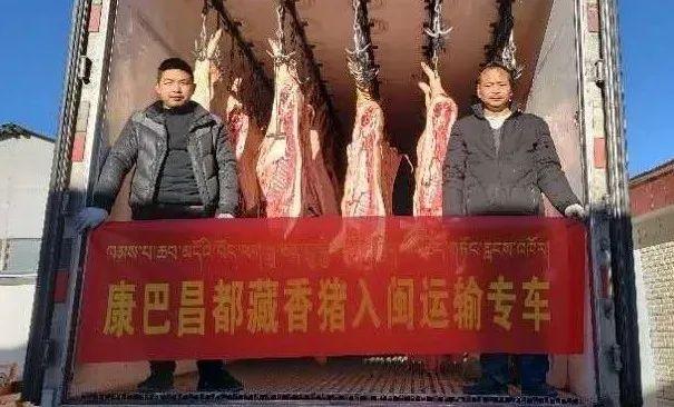 福建“小组团”援藏“大威力”