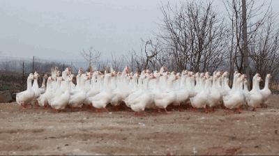 小学常识20题,小学必考20题