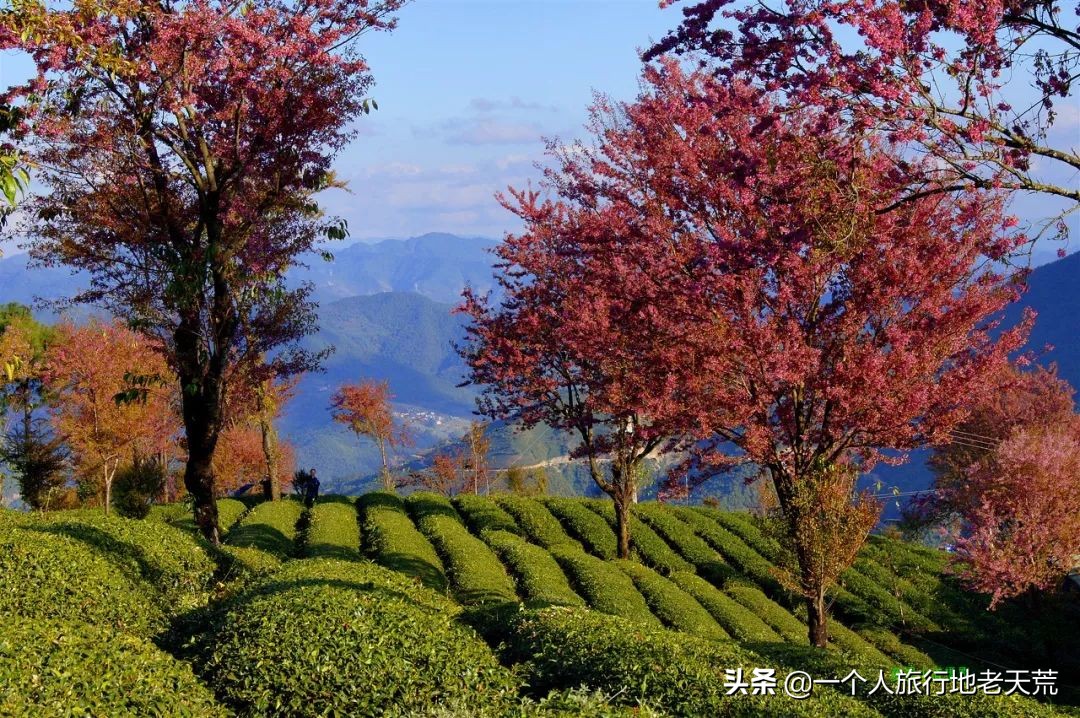 七天假旅游攻略推荐地方,拼假旅游最全攻略