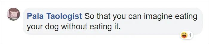 宜家小床被铲屎官们变成宠物床，日本网友：我“泡面杯床”不服