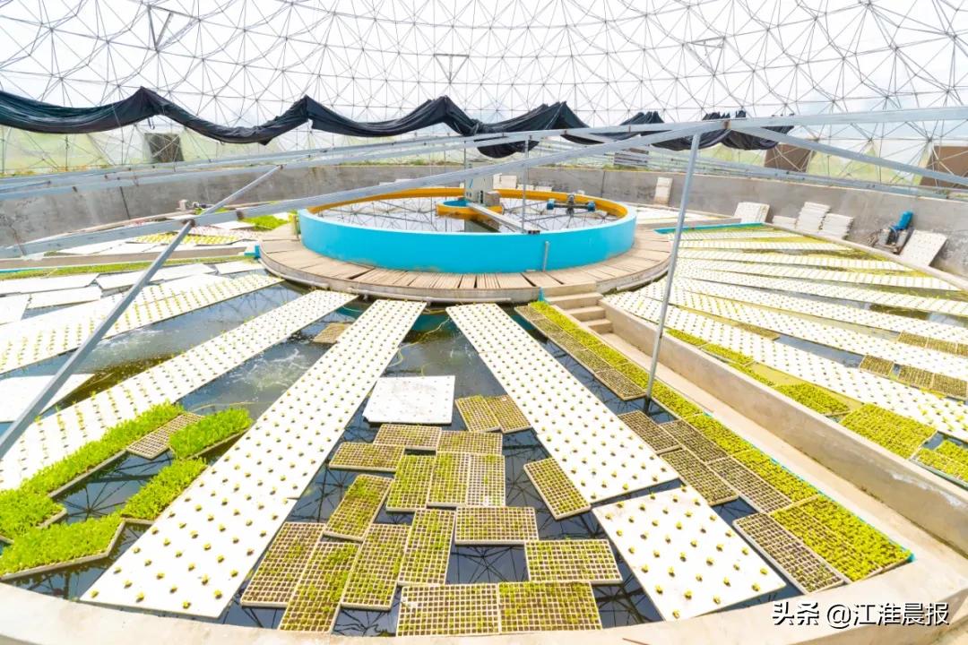 民宿大锅灶,合肥大锅灶民宿