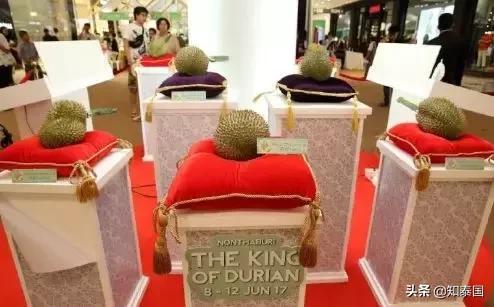 榴莲为啥价格相差那么多,为什么是天价榴莲
