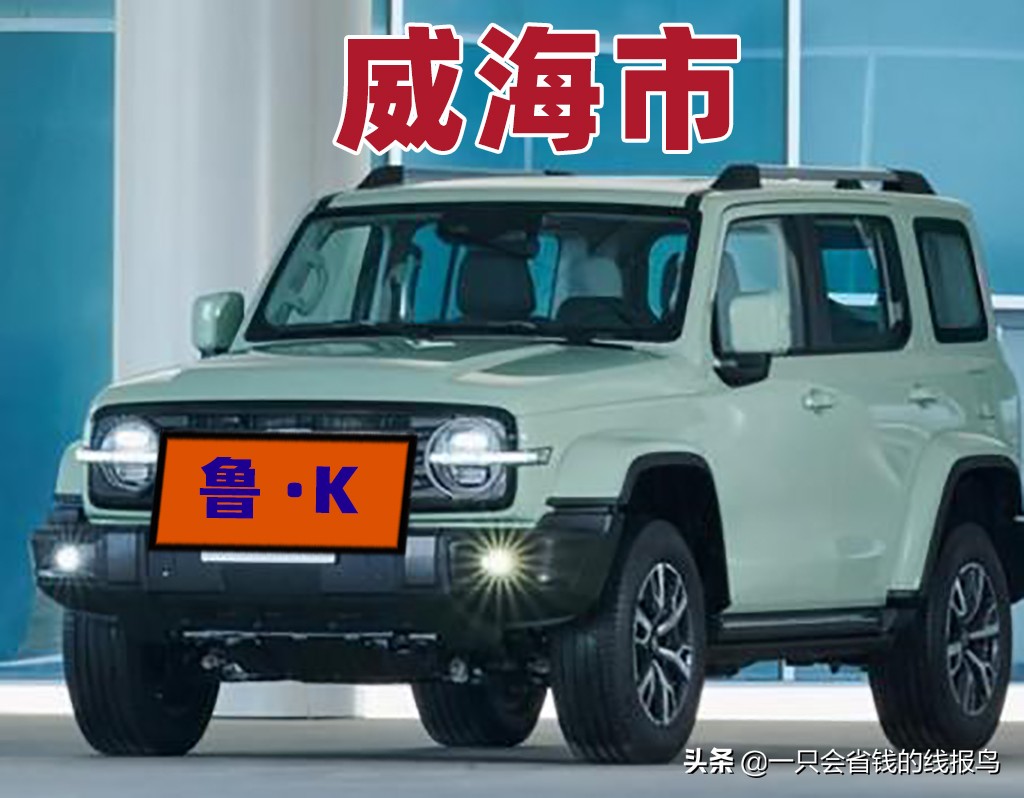 山东省汽车牌照字母排名规律,山东省车牌照排列顺序