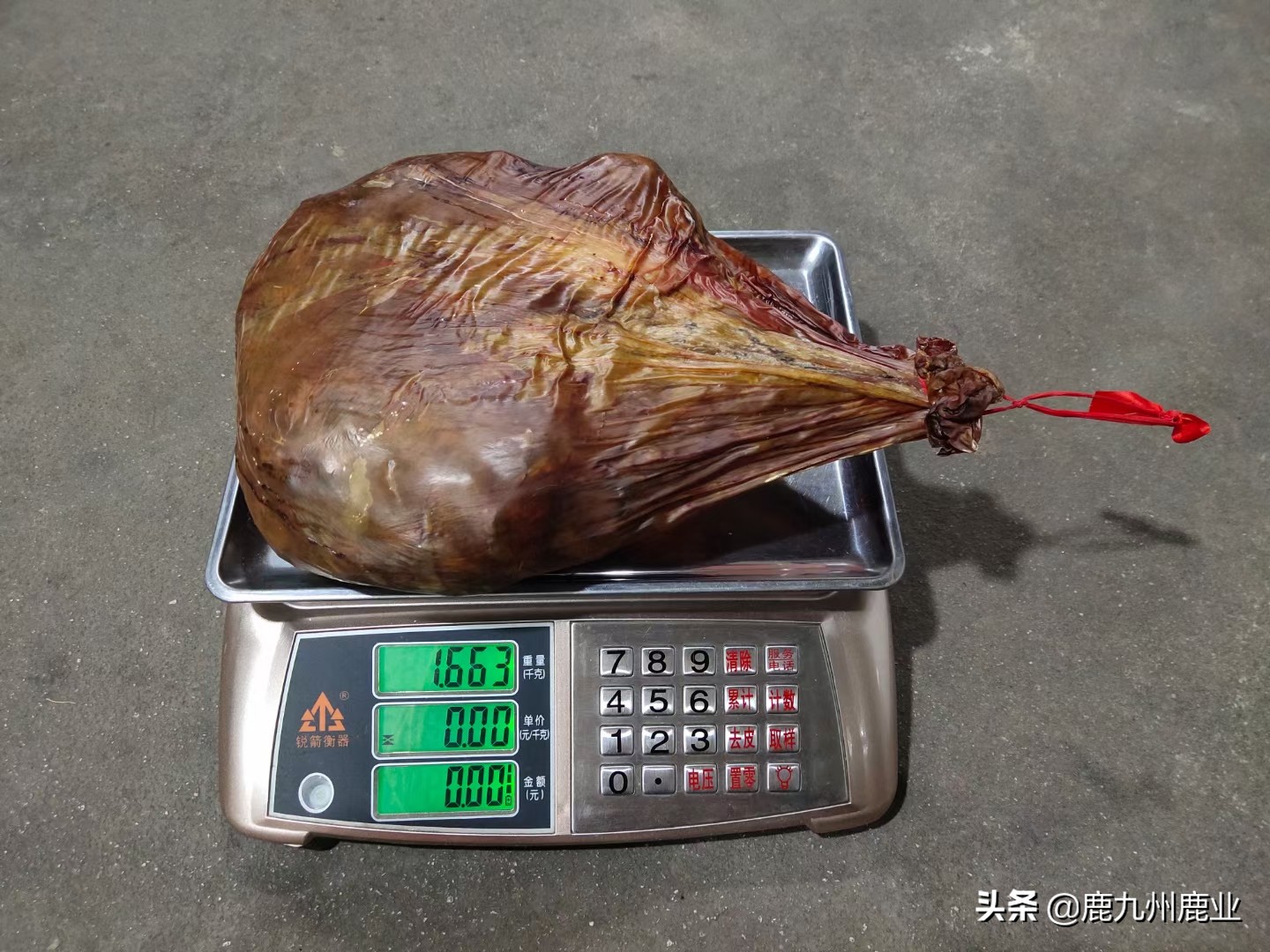 鹿九州鹿业：鹿胎是什么？鹿胎粉的正确吃法