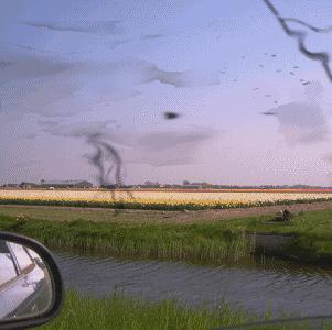 眼前一直有蚊子是什么病,眼前总有蚊子飞怎么治呀