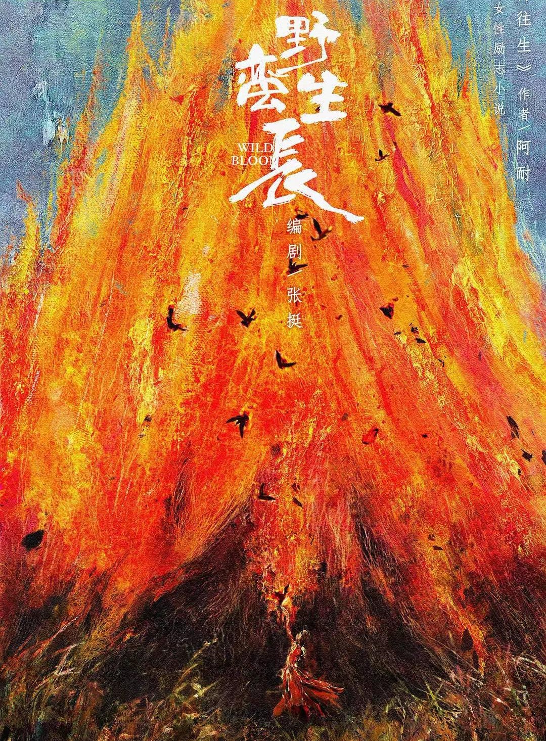 赵丽颖幸福到万家开机,盘点14部赵丽颖未播先火的电视剧