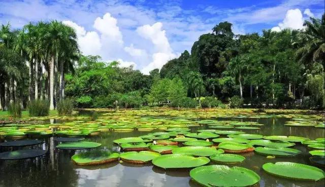 西双版纳13大旅游度假酒店，高品质，家庭出游最佳选择#版纳旅游