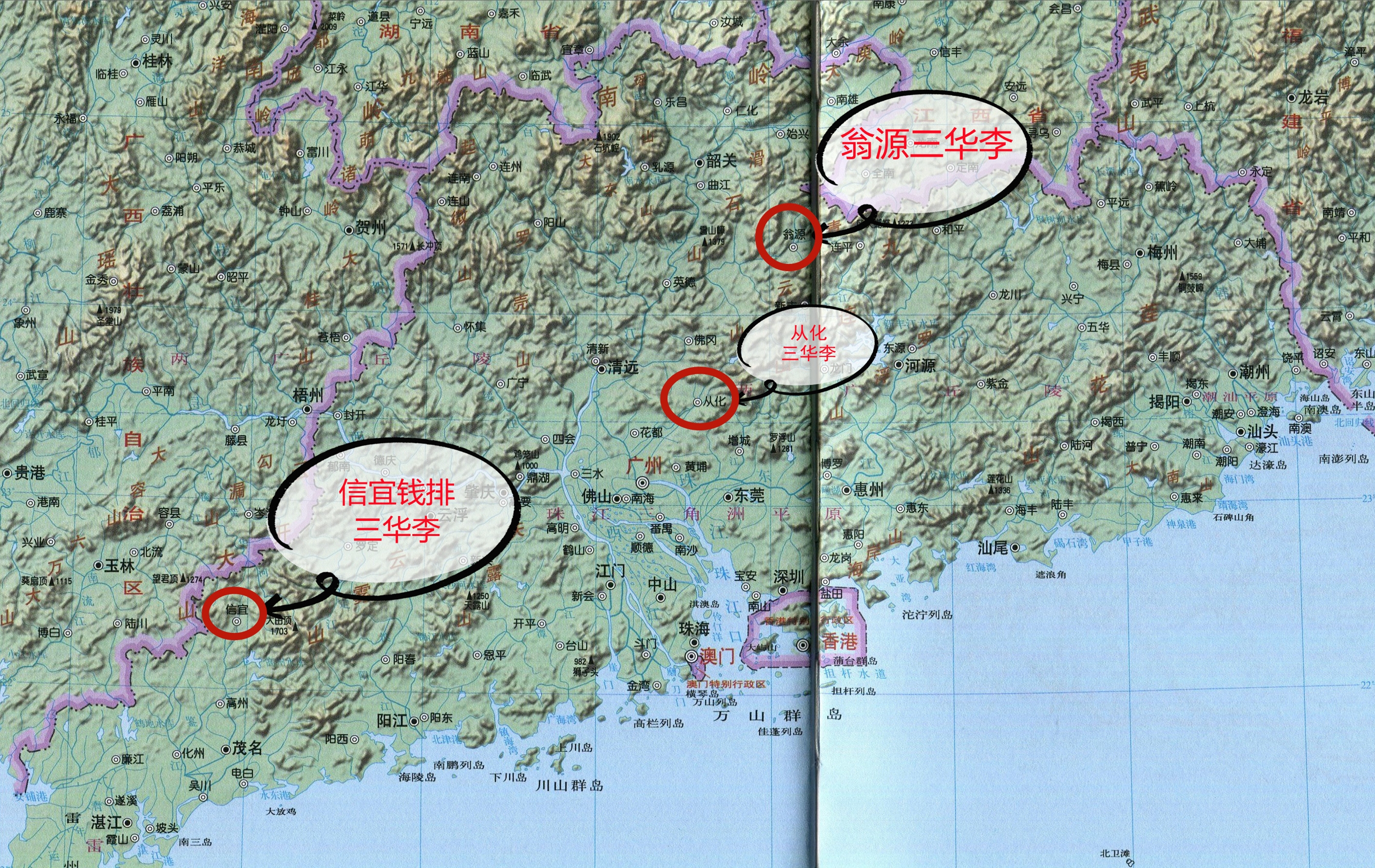 信宜翁源三华李商标之争,正宗翁源青皮三华李