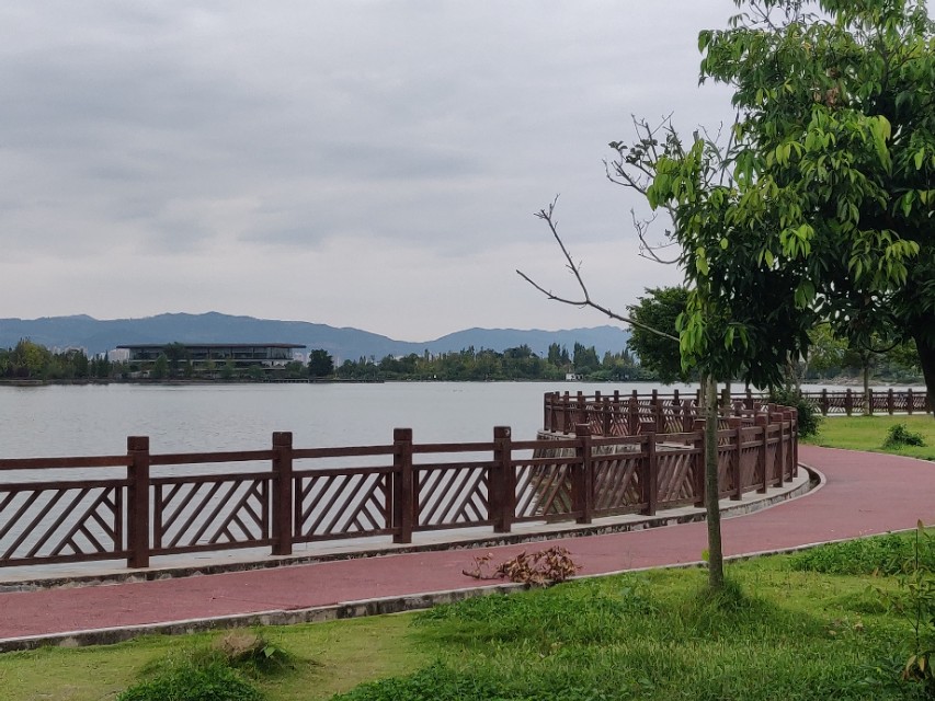 一代神车本田佳御,本田佳御110踏板