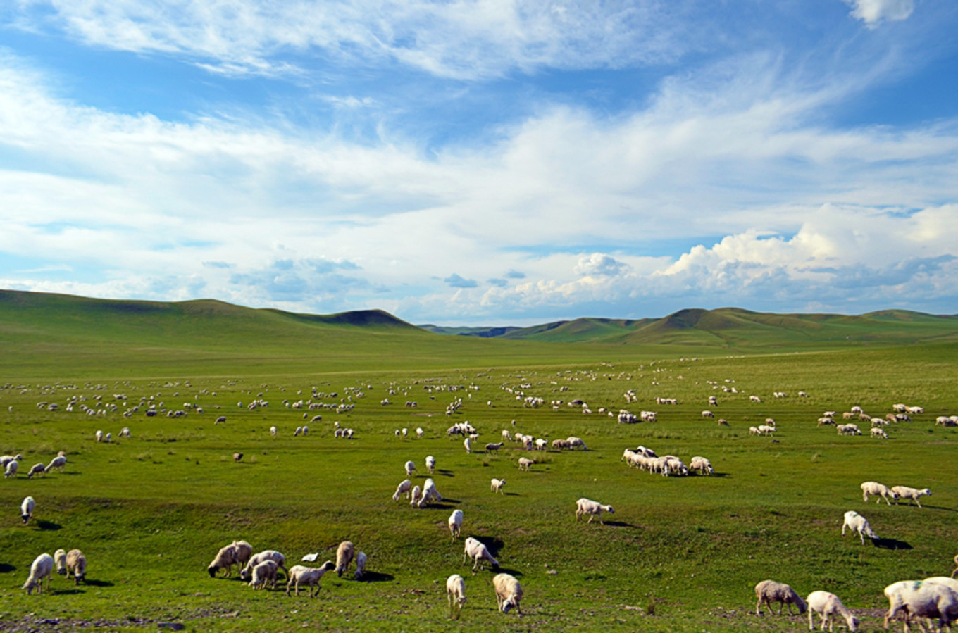 乌珠穆沁草原狼图腾,狼图腾草原魂歌曲