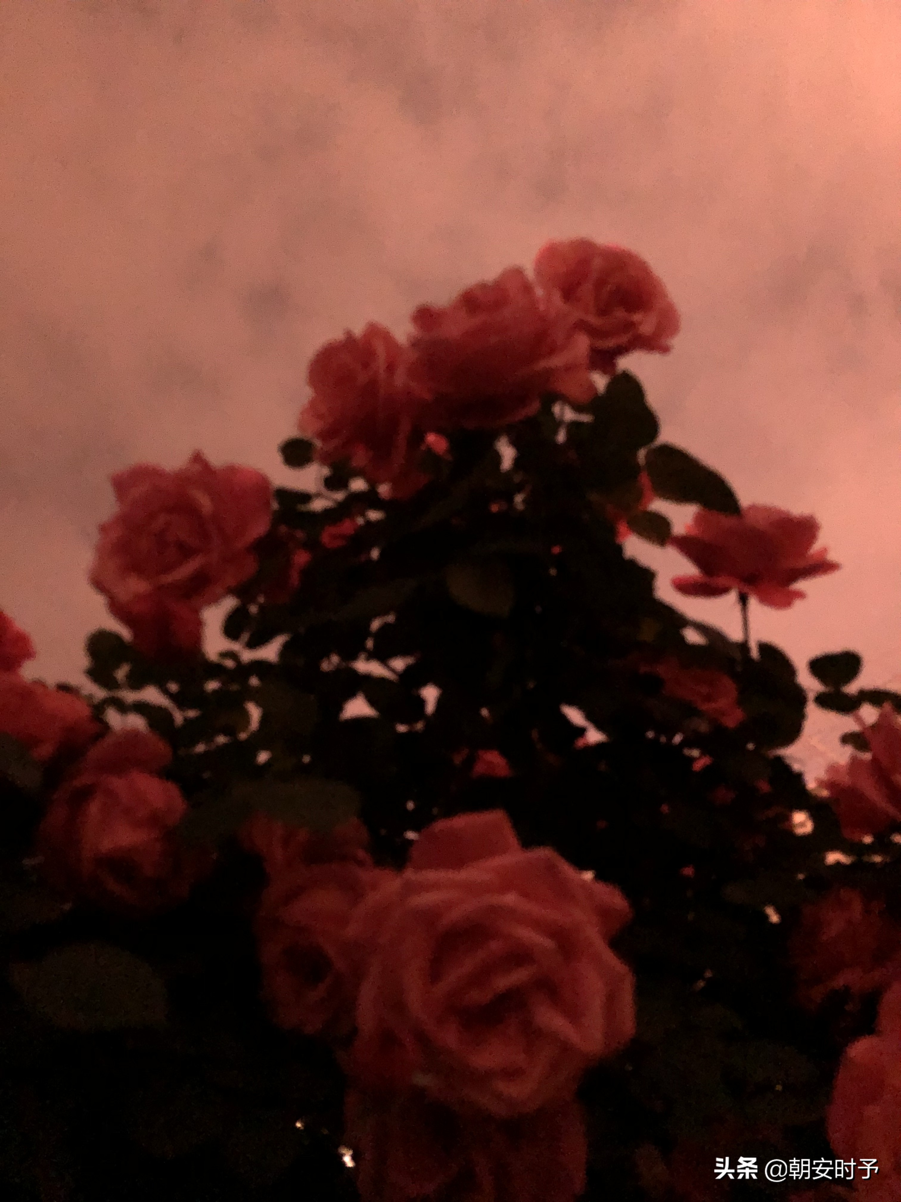 疫情中的武汉美景,大好河山武汉市