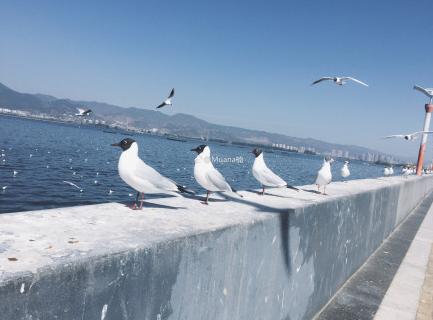 昆明适合拍照的景点有哪些,昆明大理周边旅游景点排名榜前十