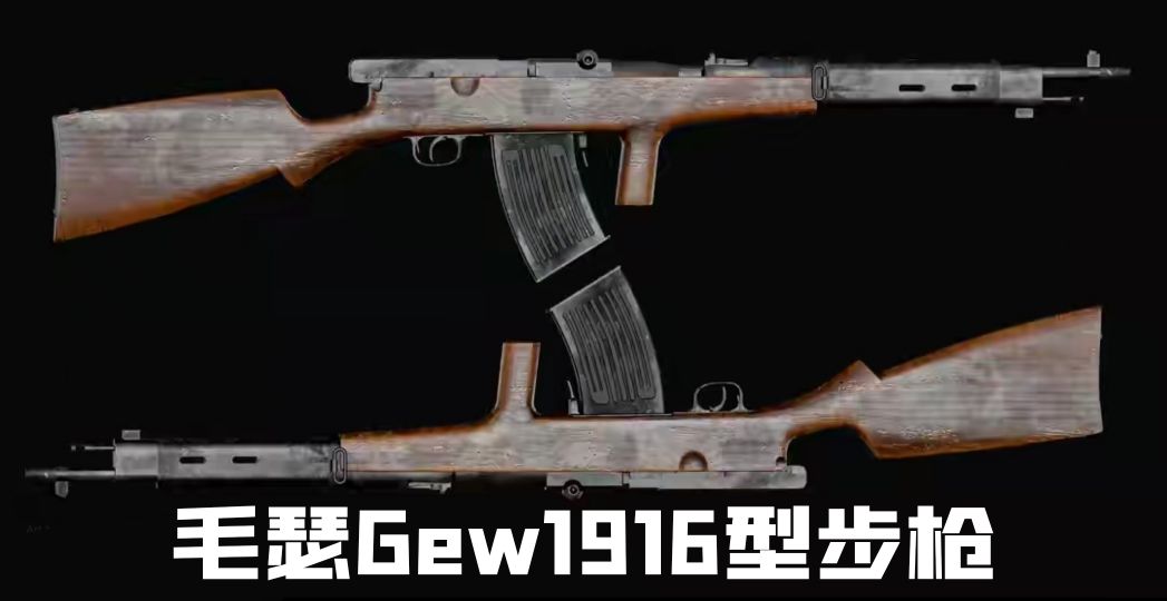 英国枪史图册全篇,德国枪图片