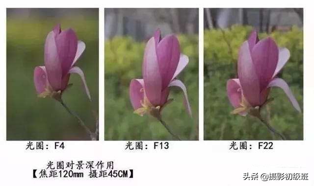 摄影基础知识光圈,摄影基础知识光圈快门感光度