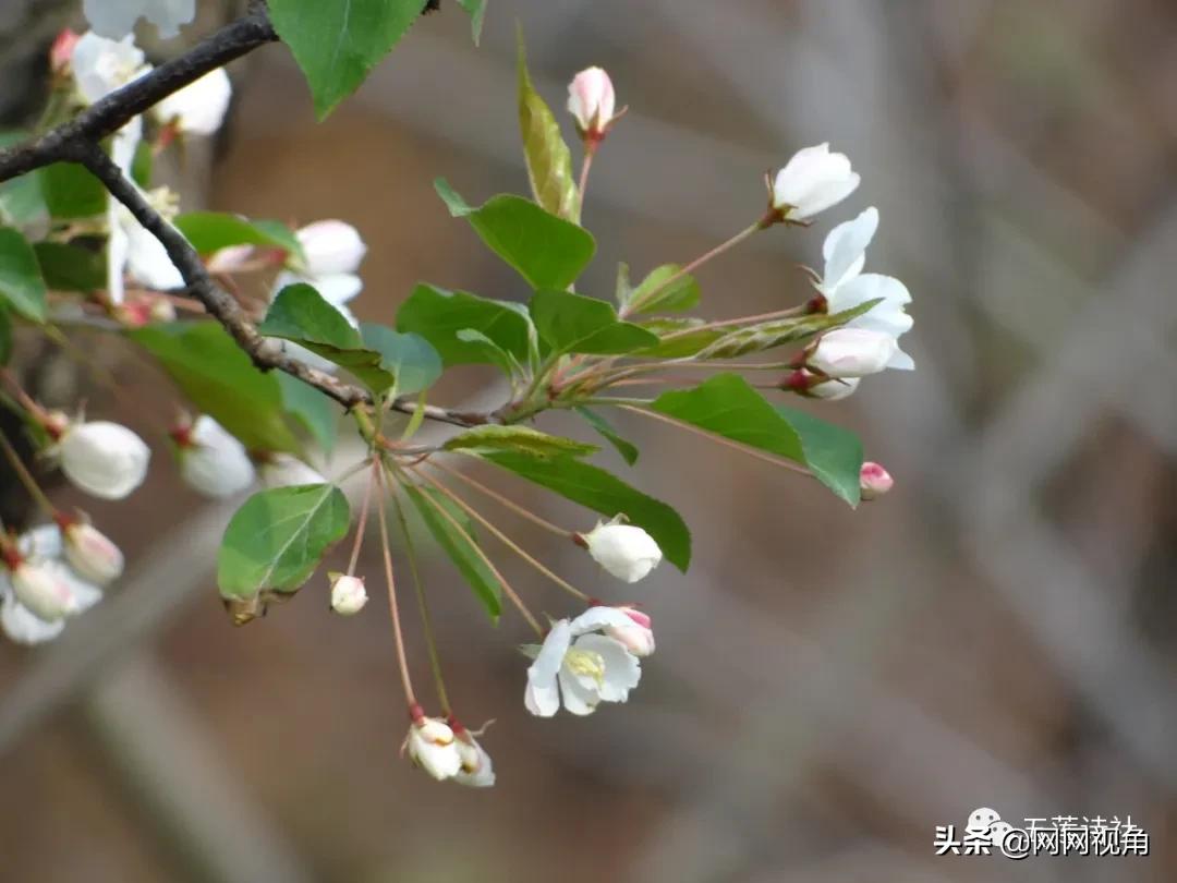「文苑」医院赋（总第762期）