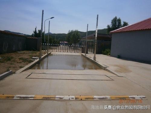 规模化养鸡日常管理,蛋鸡养殖场消毒方法有哪些