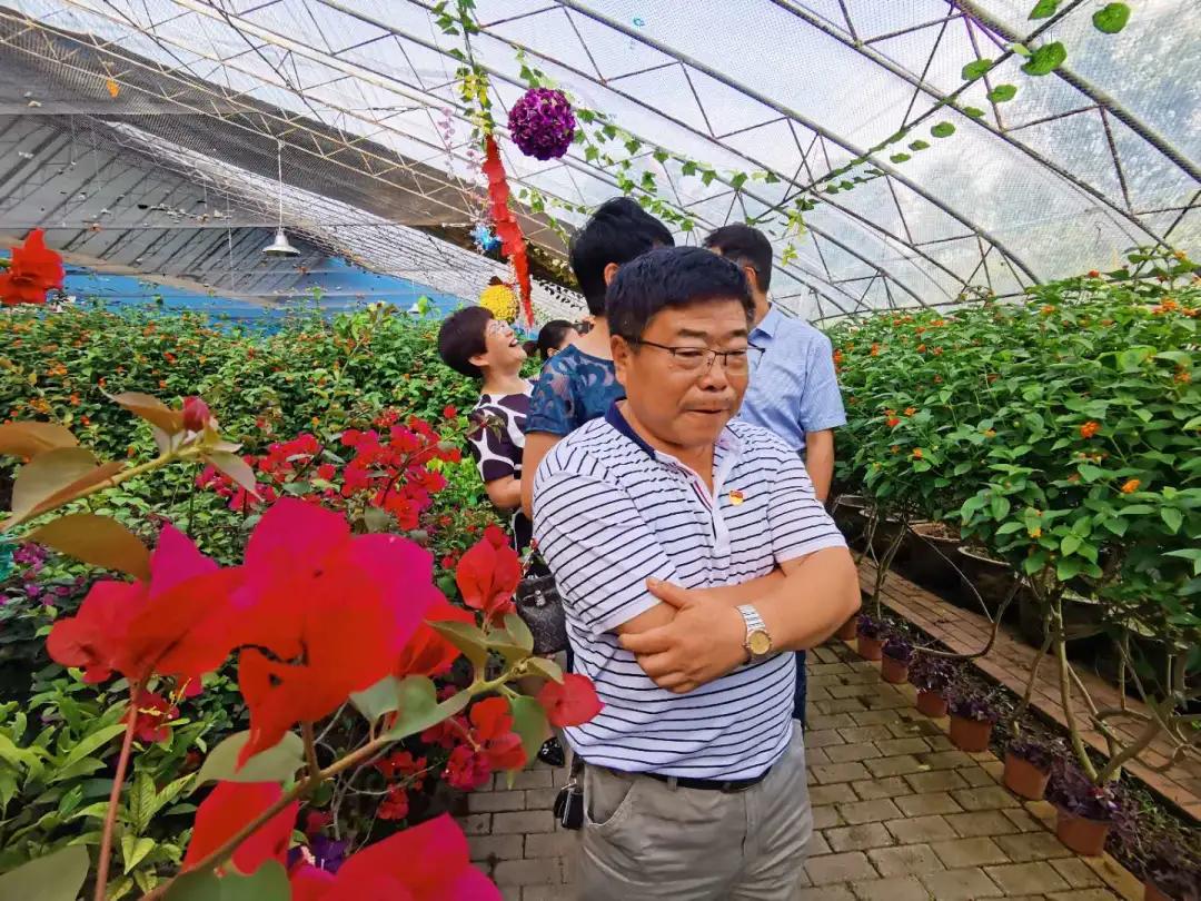 7月旅顺游玩,7月旅顺游玩去处