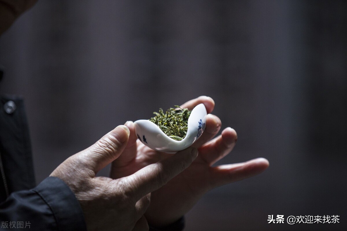 中国十大最好的茶叶品牌有哪些呢,中国知名茶叶品牌排行榜有哪些呢
