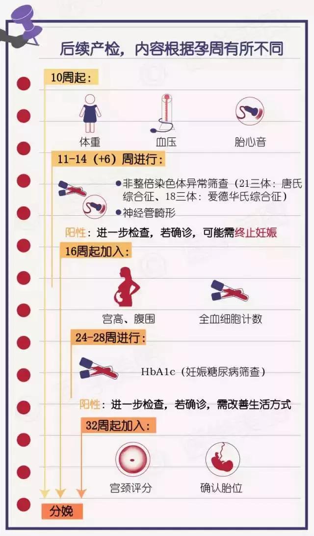 怎样看懂产检报告单,产检检查单解读书籍
