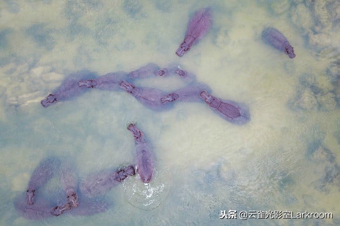 十个无人机拍摄的惊人画面,世界上最好的无人机1500米