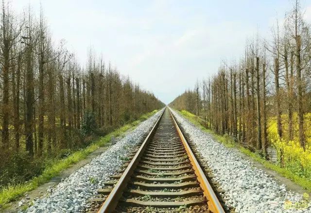 半个月后成都即将美翻全国，17处美景玩转整个春天！