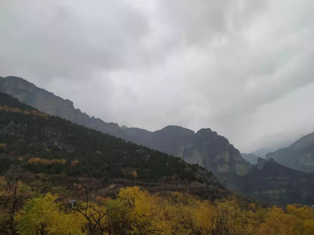 房山南北梯摘柿子,冬天去清凉山摘柿子