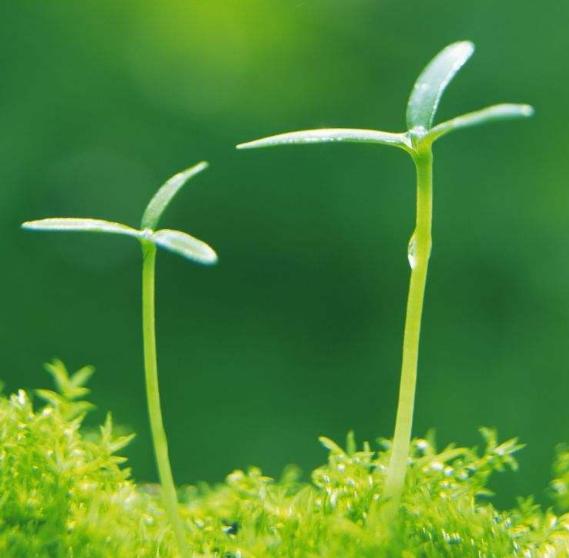 “漫享欢印”让道家房事养生与生殖健康文献，焕发生机造福于民！