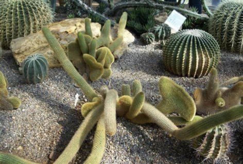 带着你的胃，只为吸一口云南的空气