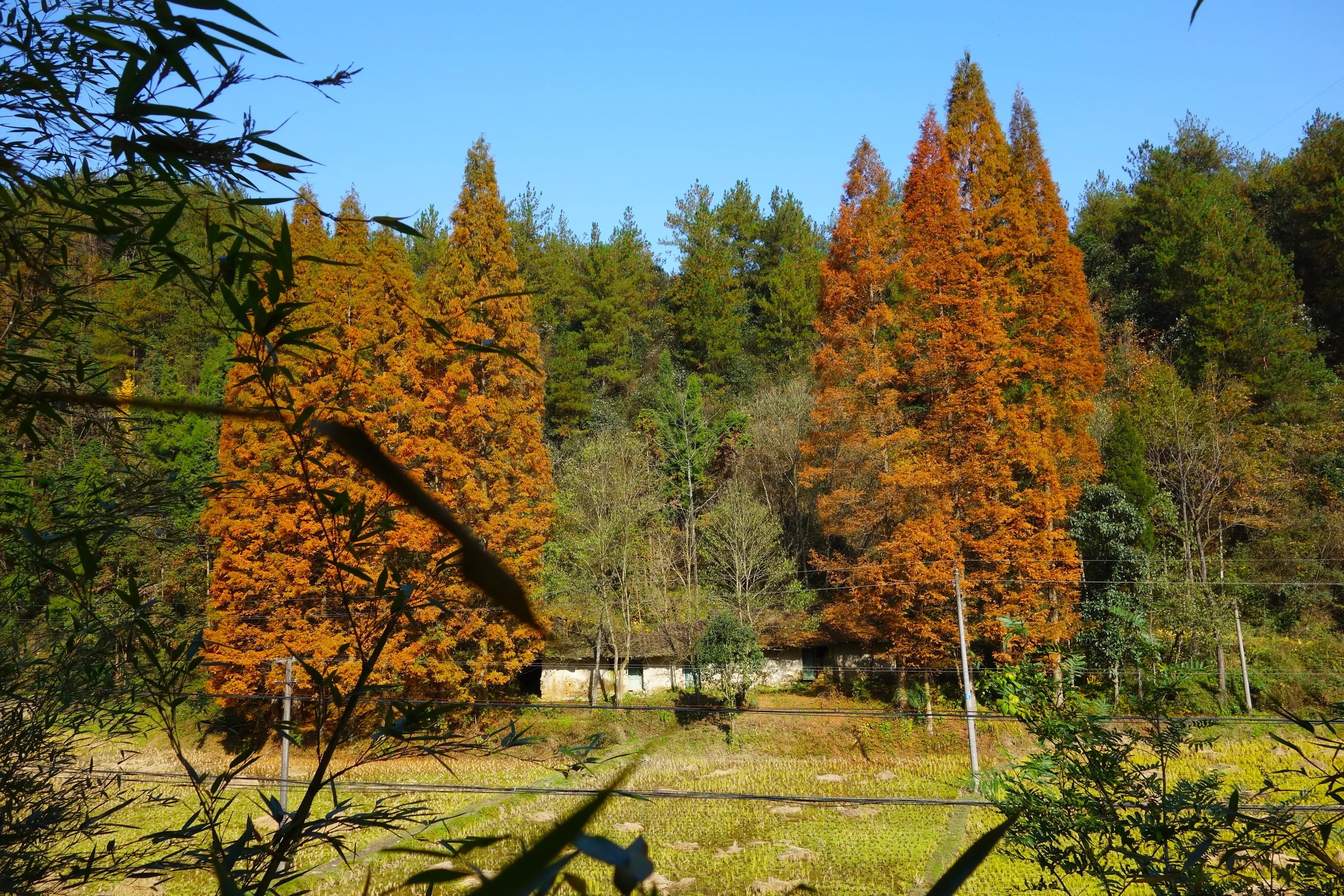 广元周边摩旅攻略,广元出发三天摩旅路线