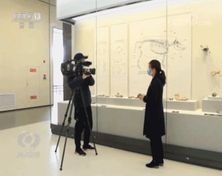 苏州最近最火爆区,最近苏州哪里热闹