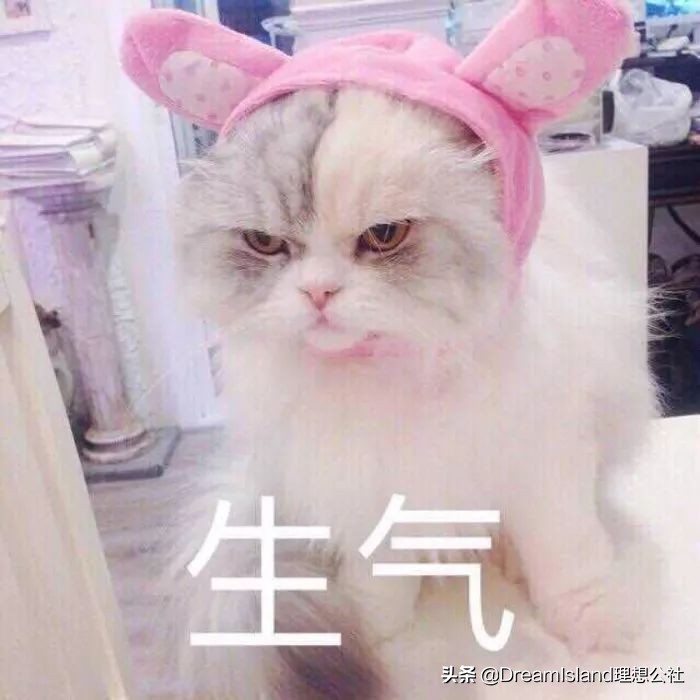 包包测评潮牌,包包测评小众设计