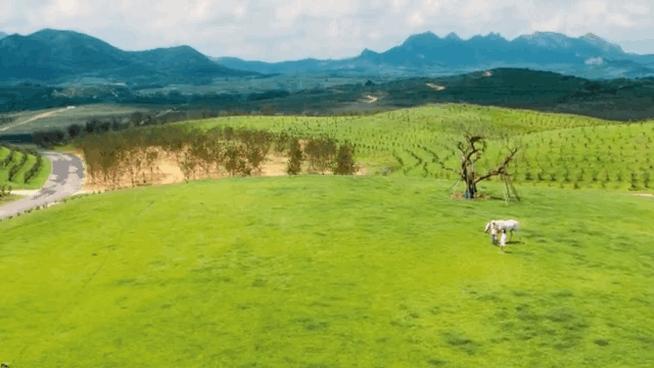 火爆四线小城的文艺社区：像住在美术馆，每天被熏陶