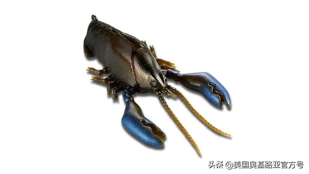 2024全国渔具展会一览表最新,2022年全国渔具展在哪