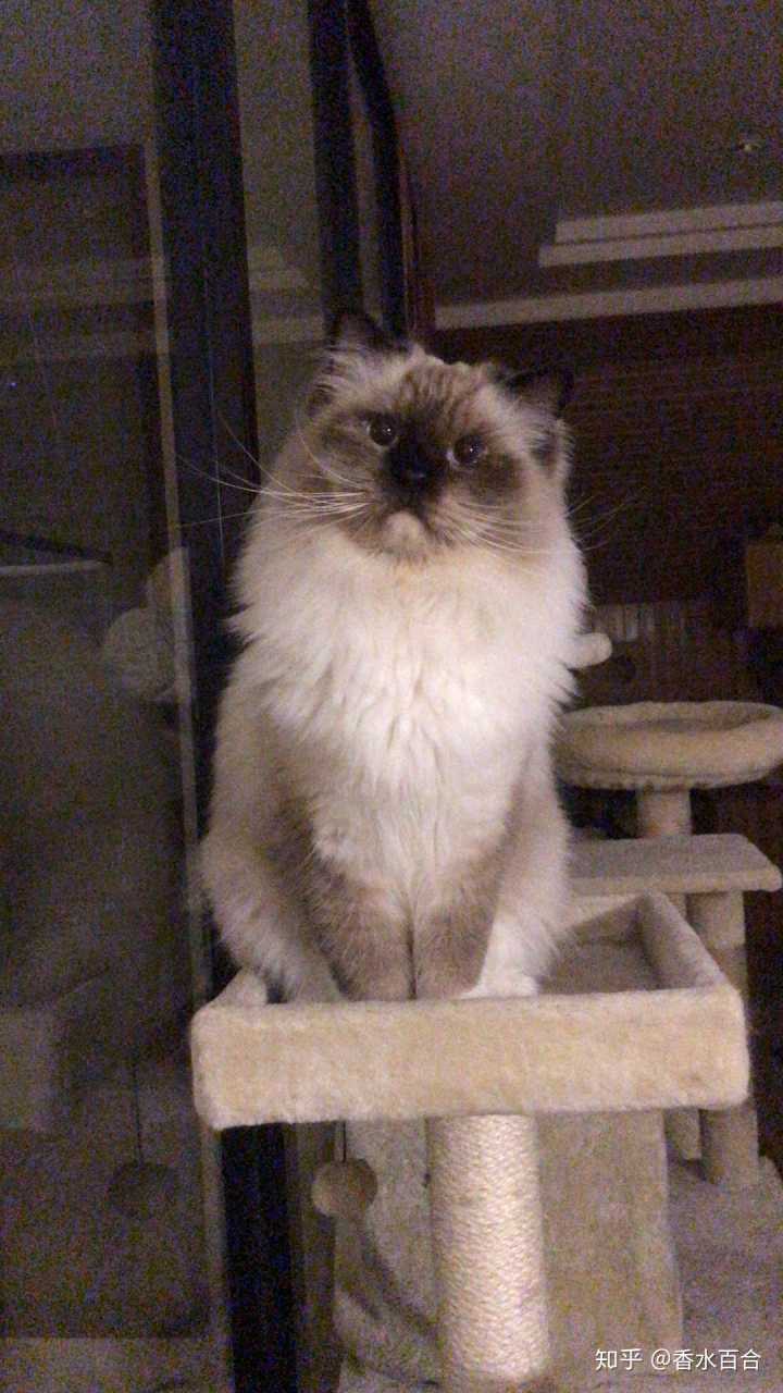 买了高层的人怎么样了,买了顶楼的房子后悔了吗