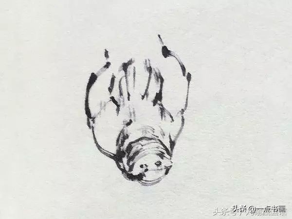 简单猪画画教学,国画写意猪图大全