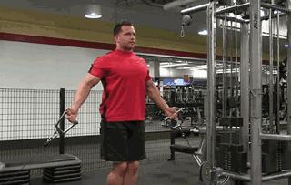 练胸的所有固定器械,练胸的器械绳索怎么调节