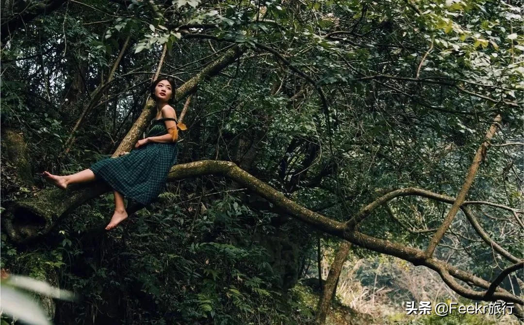 全网为阿朵淘汰鸣不平，而我想去她隐居5年的“世外桃源”静一静