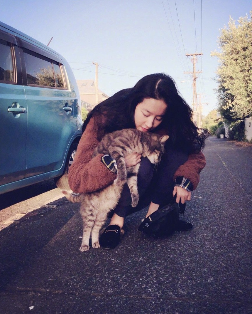 刘亦菲英气古装,飒爽英姿刘亦菲