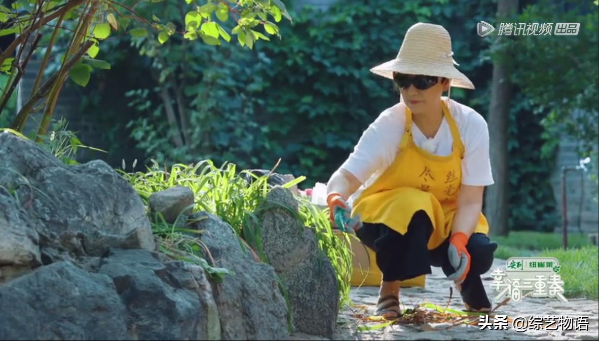 明星夫妻综艺节目有多搞笑,又甜又搞笑的一对