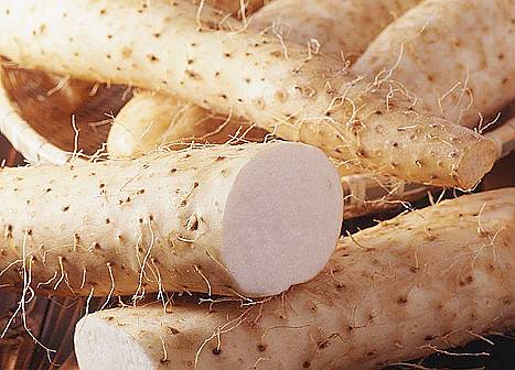 山药种植底肥钾多好还是磷多好,山药是怎样种植的用什么当种子